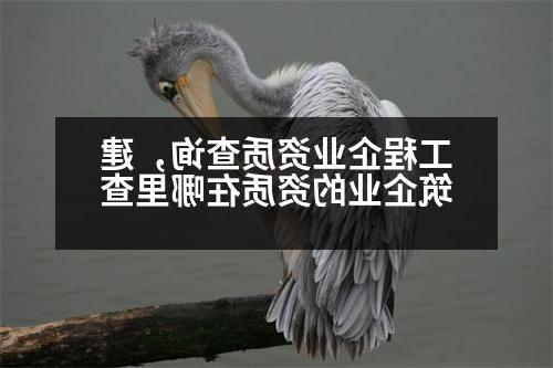 工程企业资质查询，建筑企业的资质在哪里查